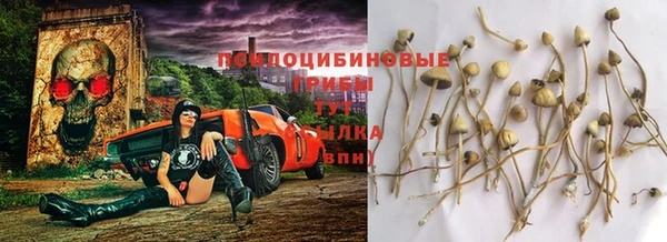 прущая мука Богородск
