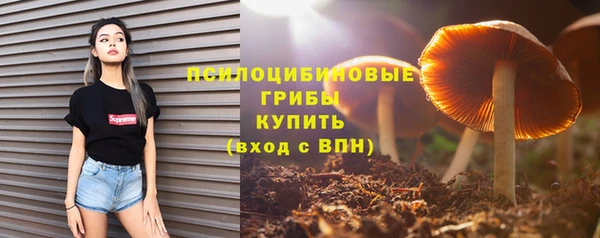 кокаин премиум Богданович