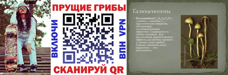 Галлюциногенные грибы мухоморы Электроугли